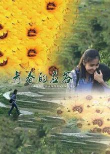 青春的应答