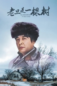 老旦是一棵树