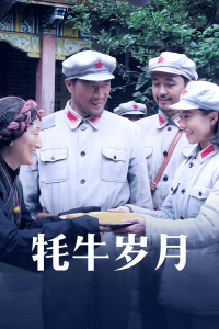 牦牛岁月