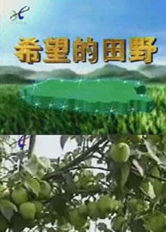 希望的田野