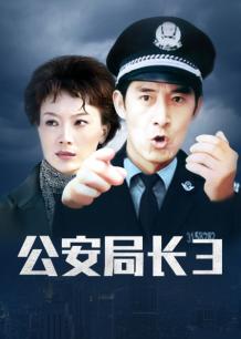 公安局长3