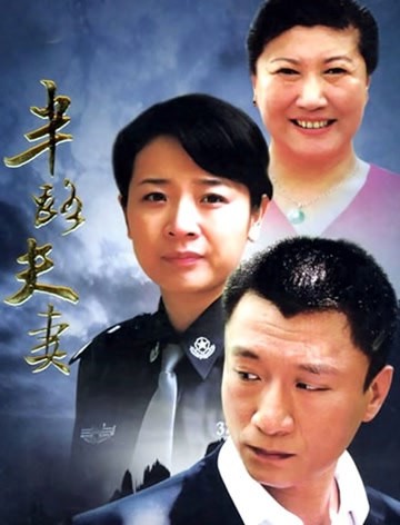 半路夫妻