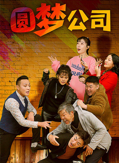 圆梦公司