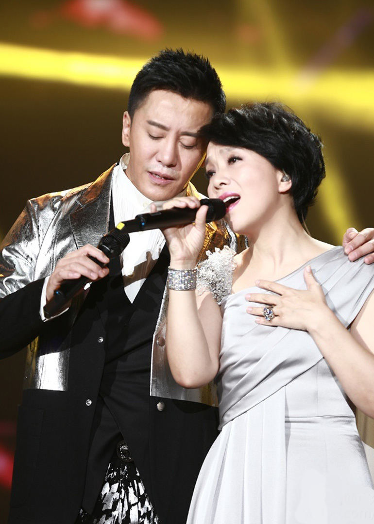 2015卫视春晚