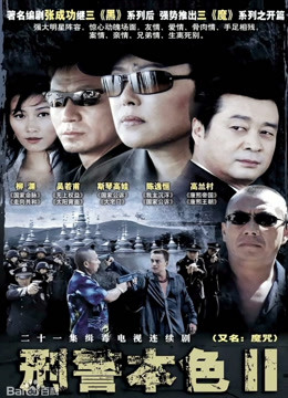 刑警本色2